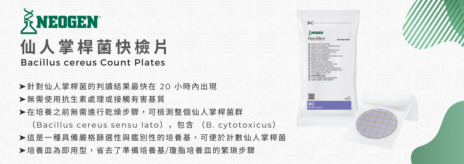 6483 仙人掌桿菌快檢片